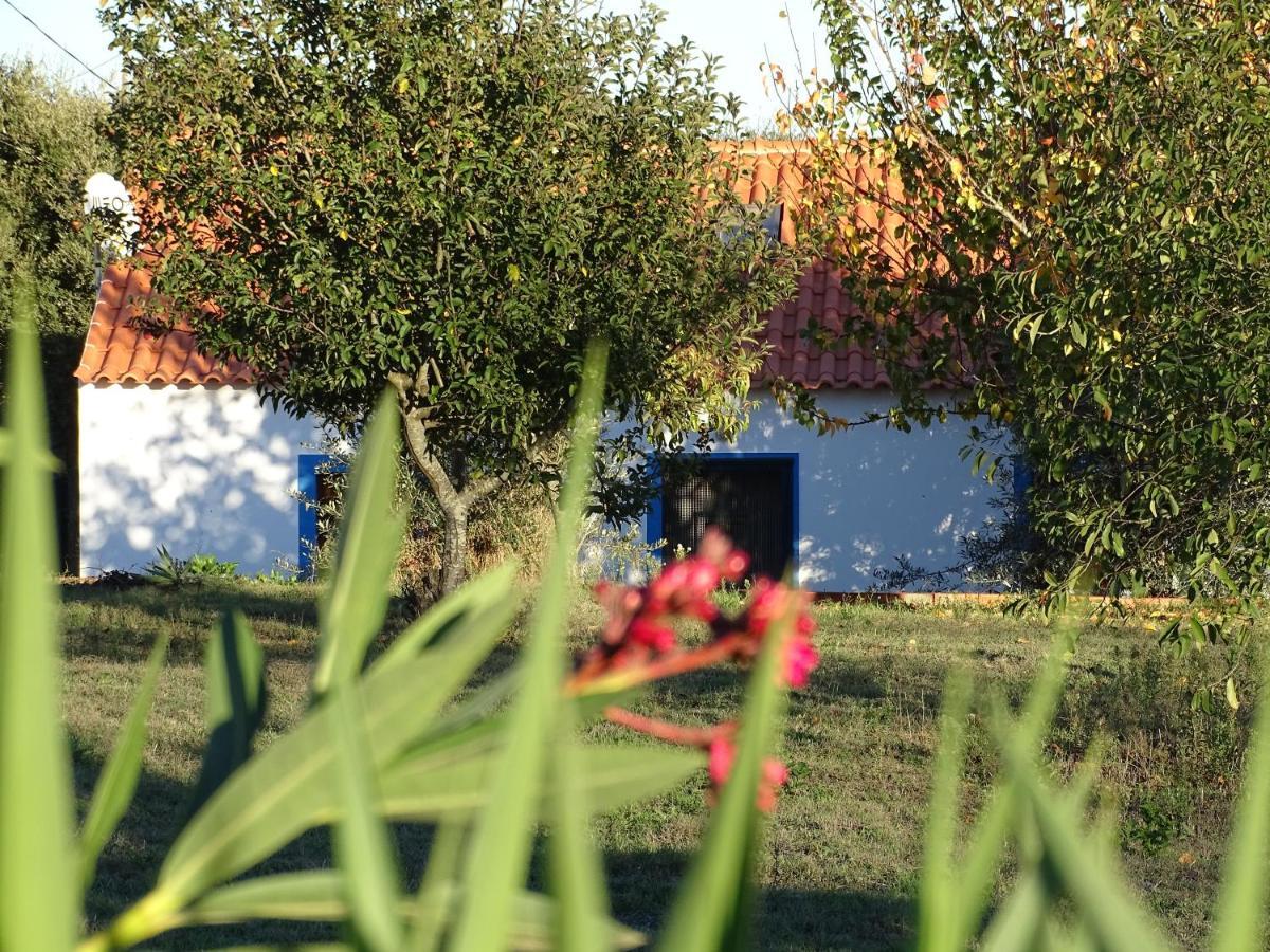 Quinta Das Teimosas By Stay In Alentejo Cercal do Alentejo المظهر الخارجي الصورة